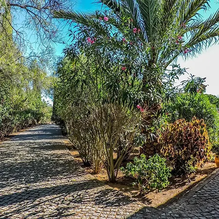 Vale Formoso * Lagoa (Algarve)