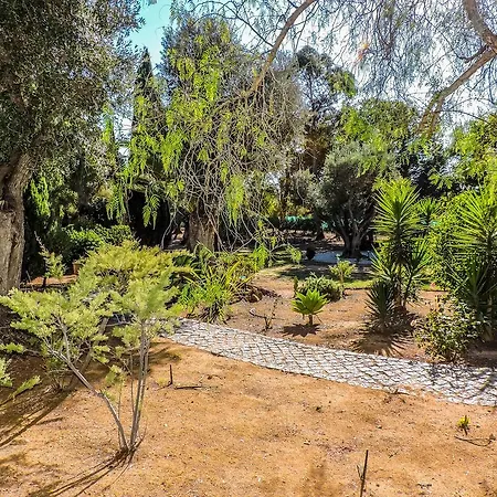 Vale Formoso Villa Lagoa (Algarve)